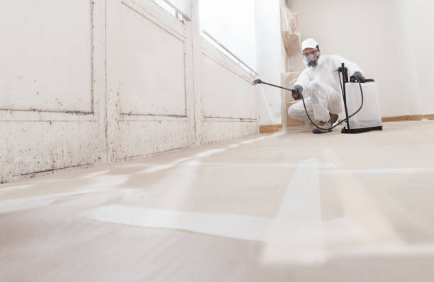 24/7 Emergency Attic Mold Remediation experts in Waynesboro, VA