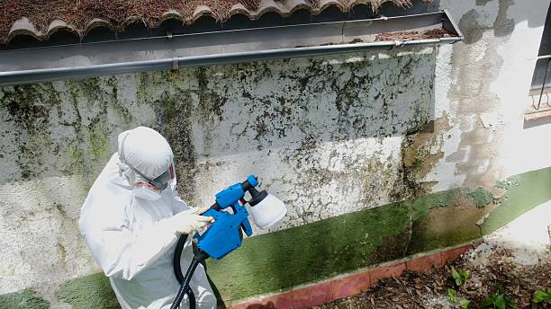 Top rated local Attic Mold Remediation specialists in Waynesboro, VA
